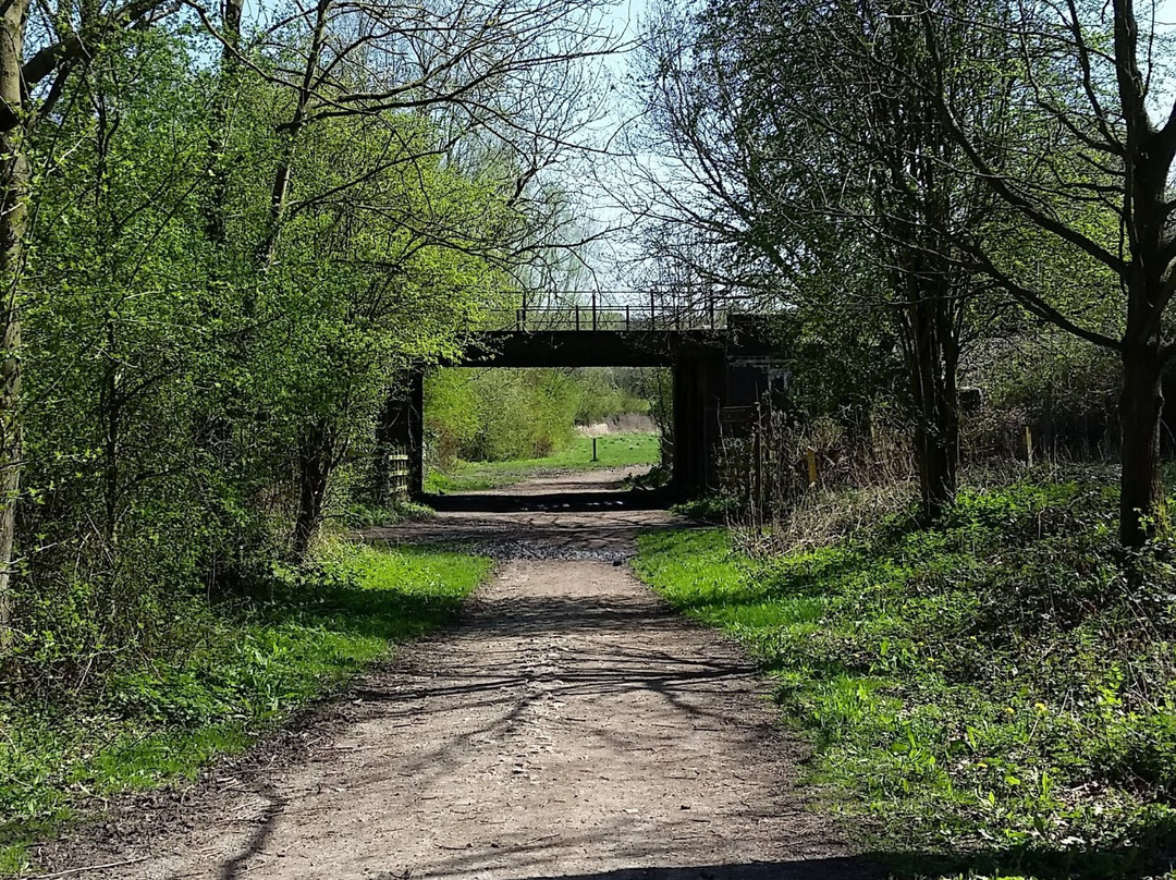 Burbage Common and Woods景点图片