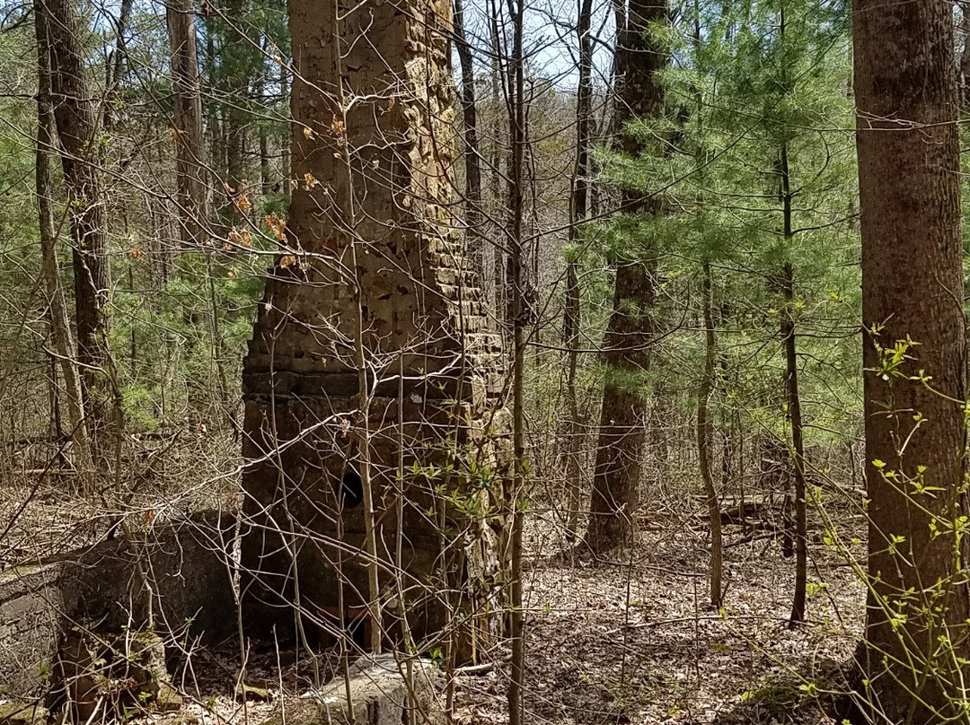 Jackson-Washington State Forest-Brownstown必去景点