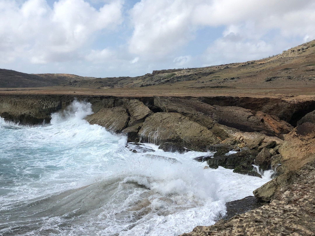Aruba Trail Runner's-奥腊涅斯塔德必去景点