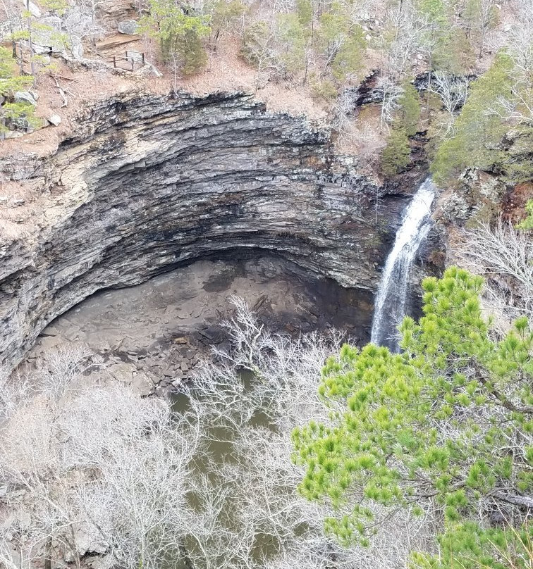 Cedar Falls Trail景点图片