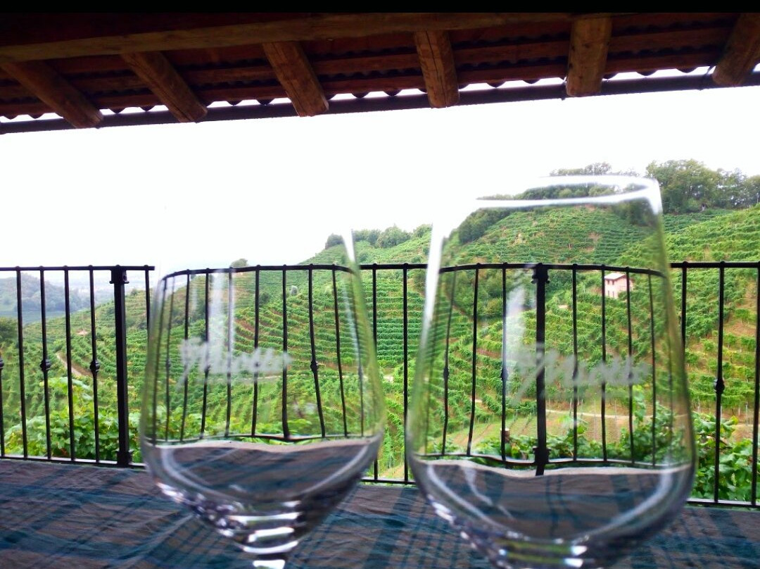 Azienda Agricola Valter Miotto景点图片