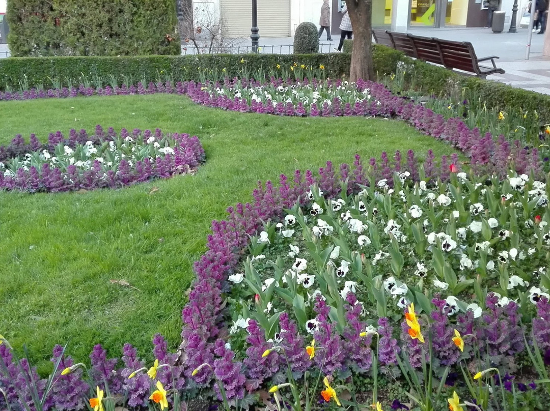 Jardines de la Plaza del Altozano景点图片