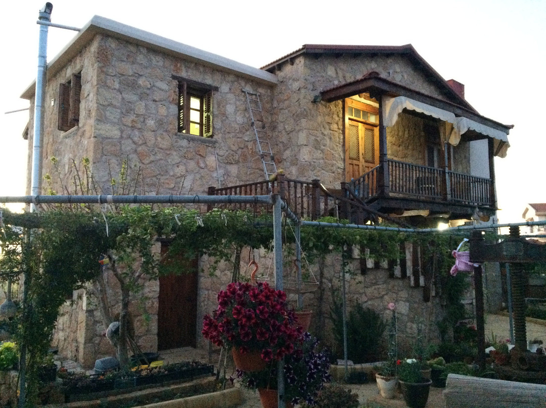 Melandra House主图