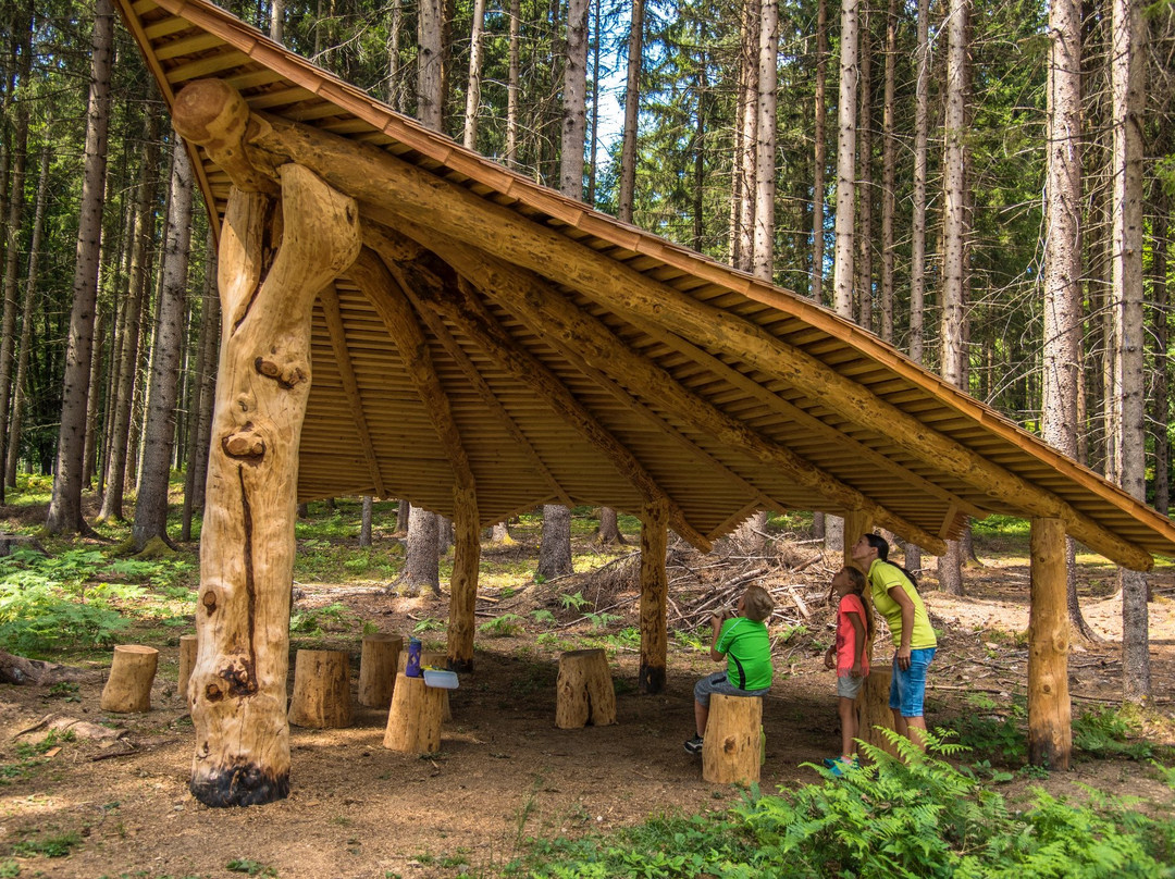 Woroun auf der Spur - Barfuss durch den Drachenwald-Drobollach am Faakersee必去景点