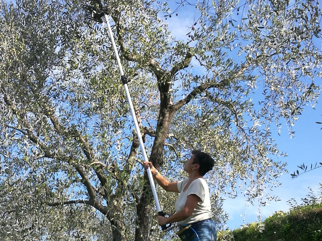 Ospitalita Rurale L'Uccelliera主图