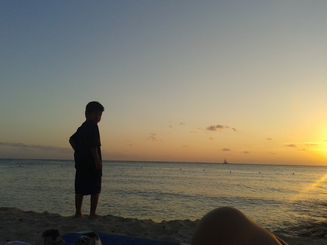 Tours by Taxi Cozumel-考祖梅必去景点