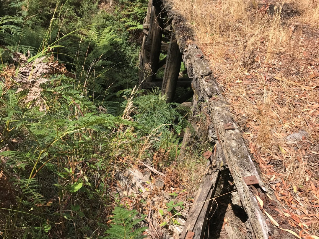 Crossover Regional Park景点图片