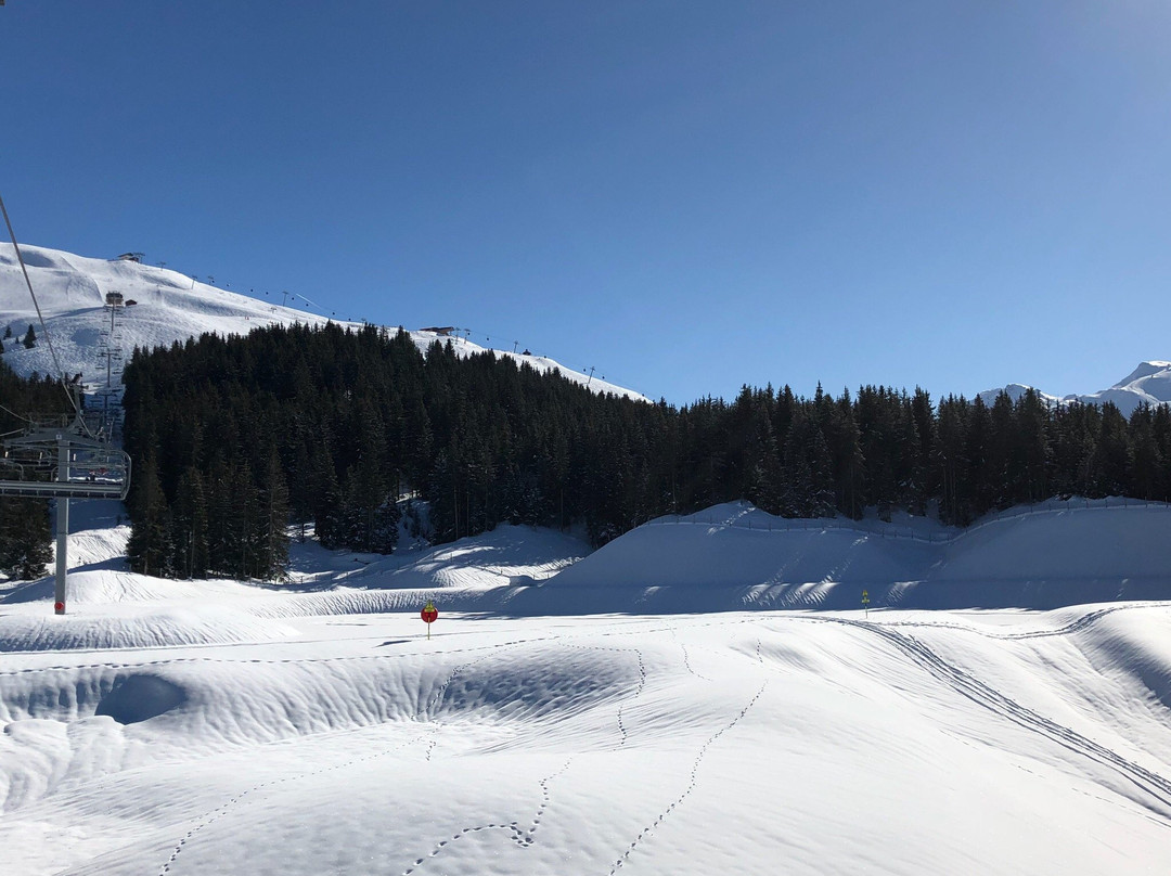 Snowdlight Ski School景点图片