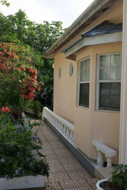 Claudia's Cove主图