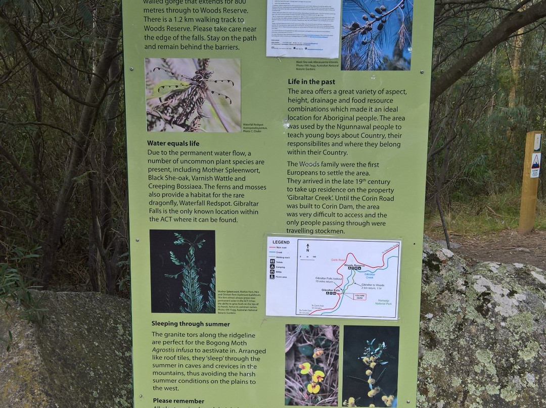 Gibraltar Falls-Paddys River必去景点