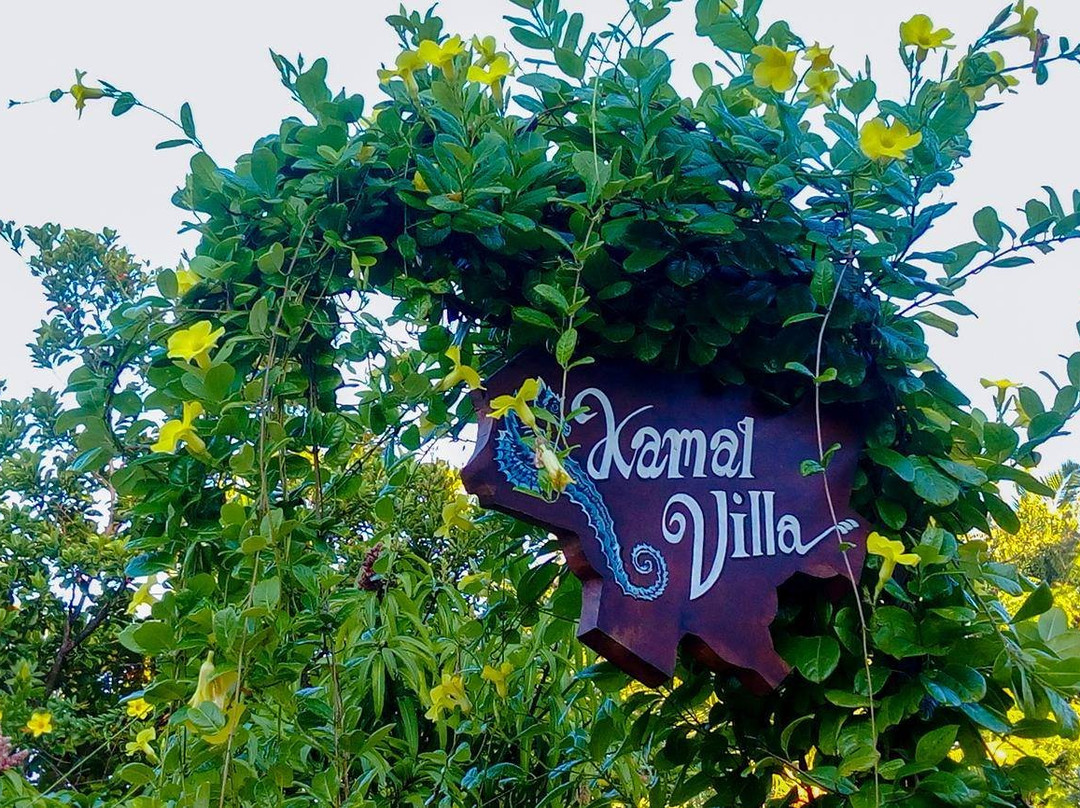 Kamal Villa