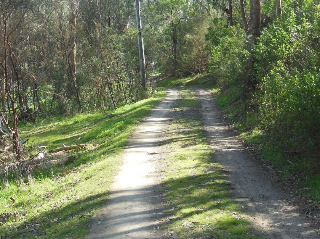 Currawong Bush Park景点图片