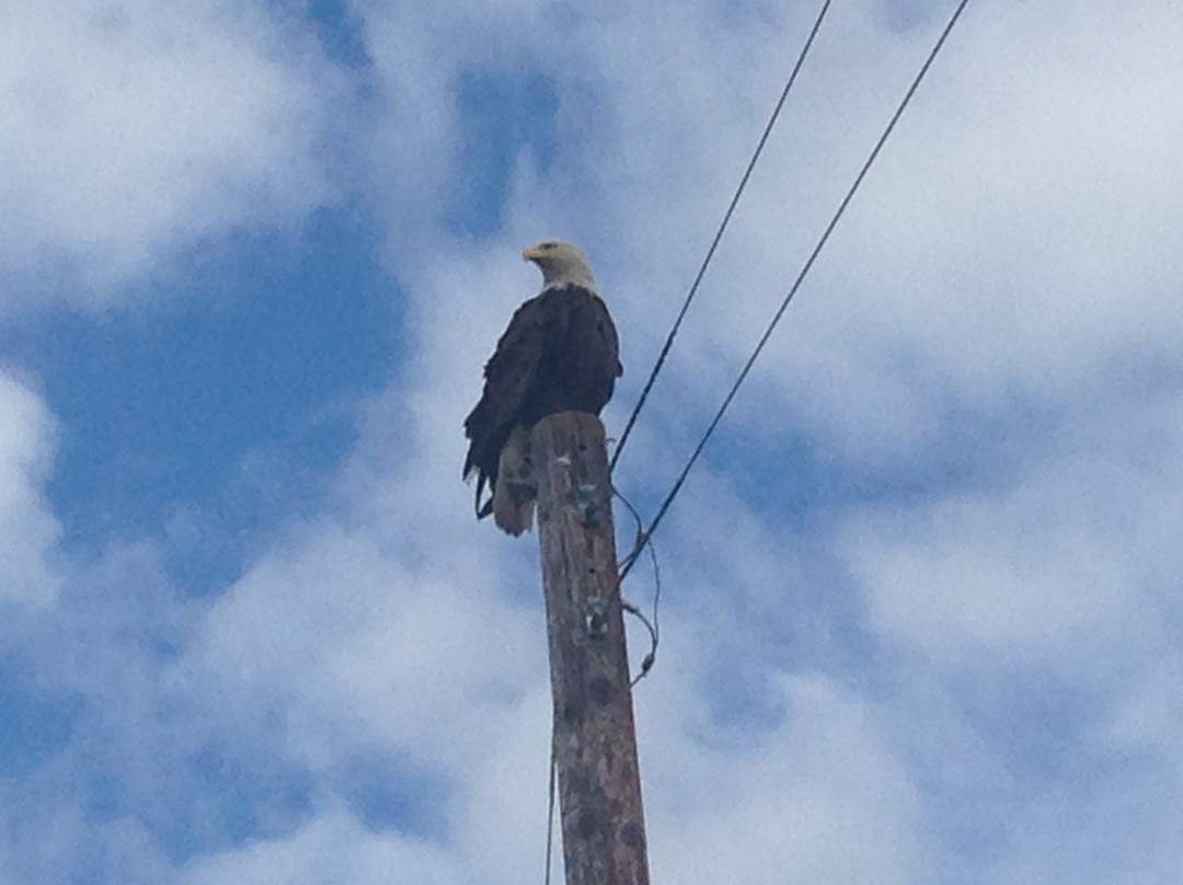 Kasper's Kountryside Inn主图