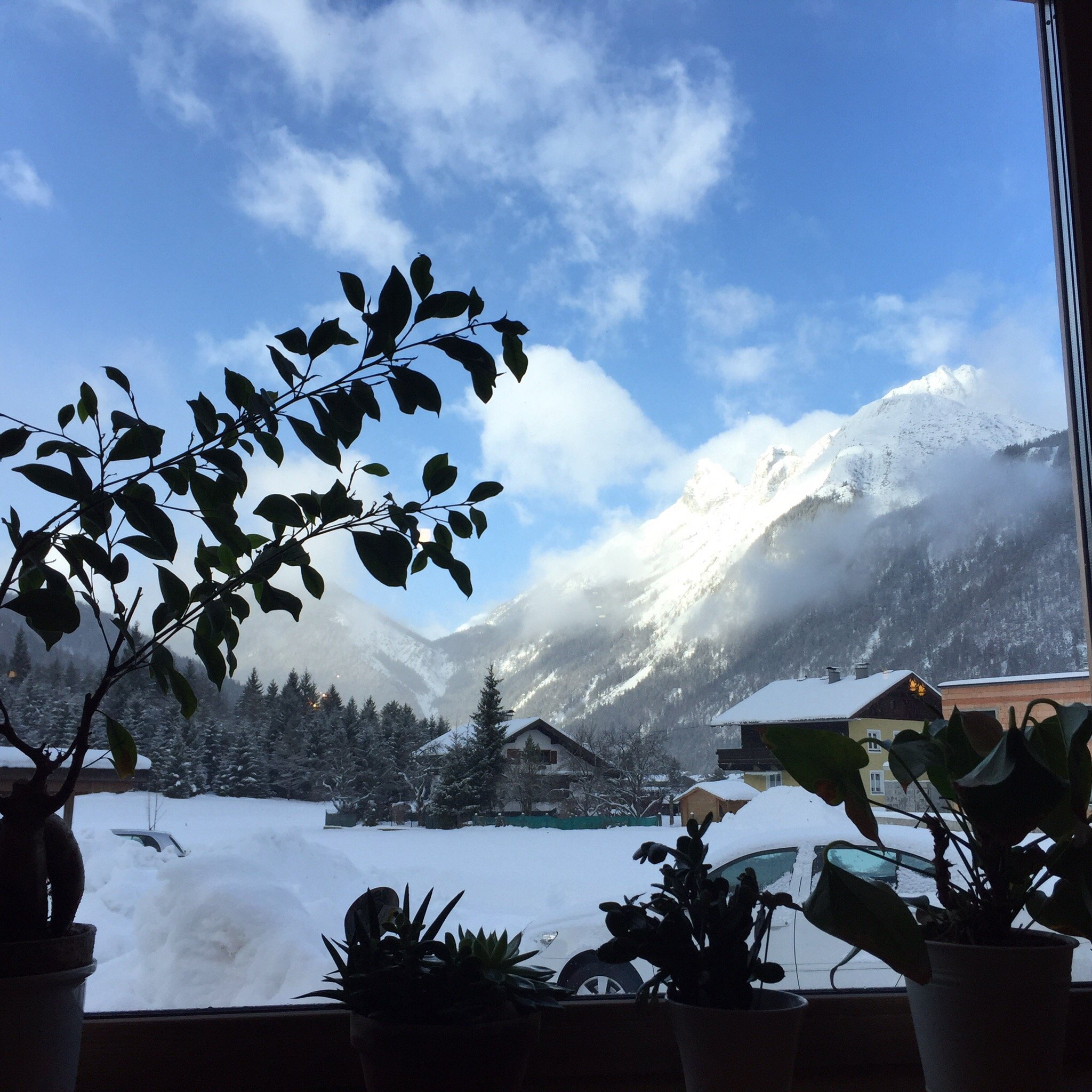 Pension-Arnspitze-官方