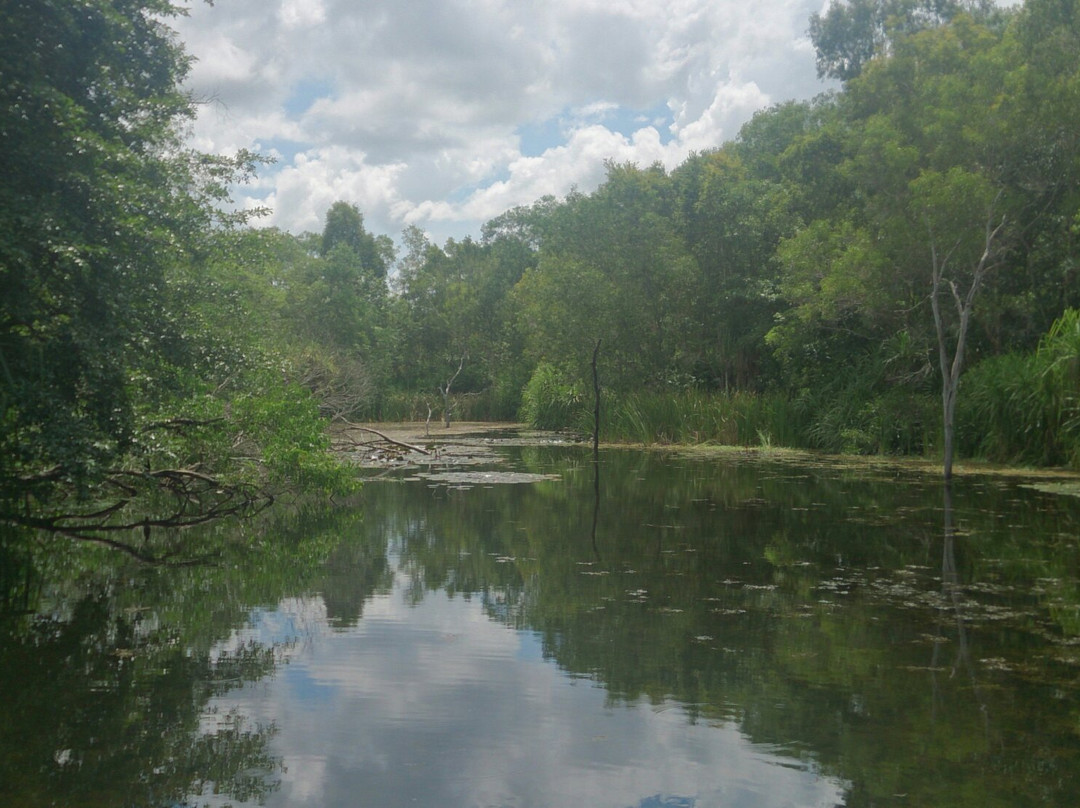 Berry Springs旅游攻略图片