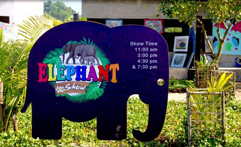 Elephant Show景点图片