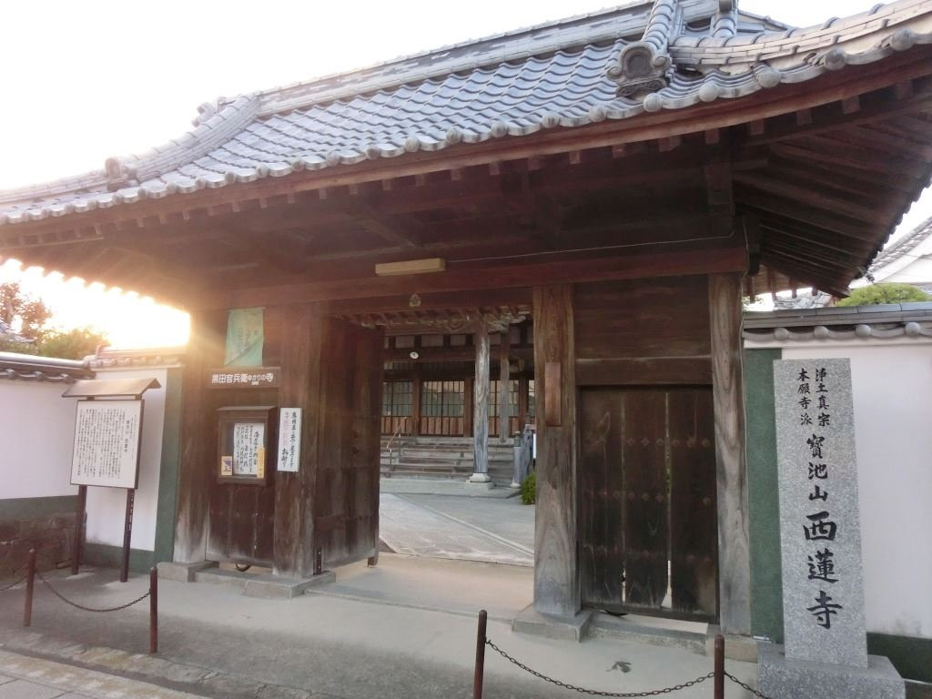 Sairen-ji Temple-中津市必去景点