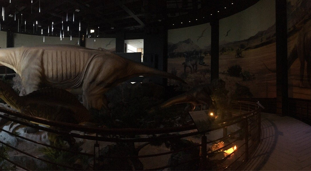 National Geological Museum-空銮必去景点