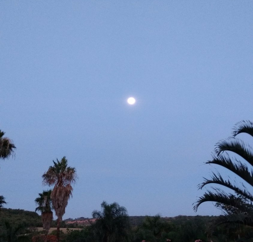 Pousada Novo Alvorecer主图