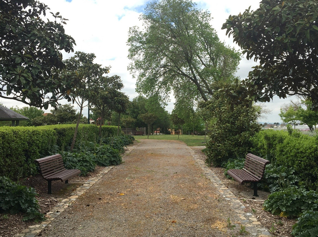 Kennels Lane Playground景点图片
