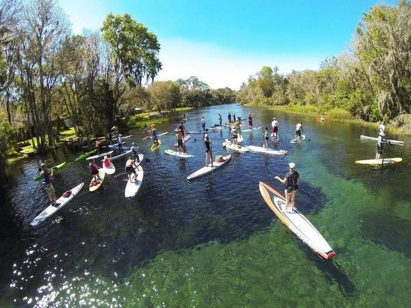 Upper Tampa Bay Paddle Sports-Oldsmar必去景点