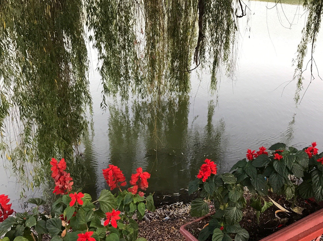 Ostrovche旅游攻略图片