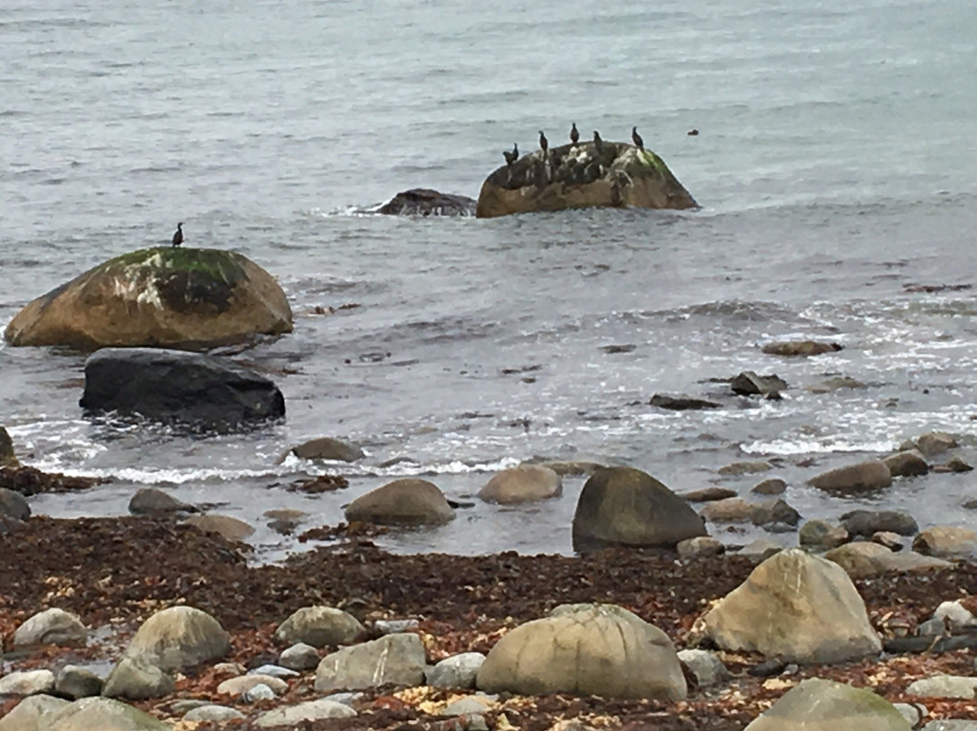 Sele Beach-Voll必去景点