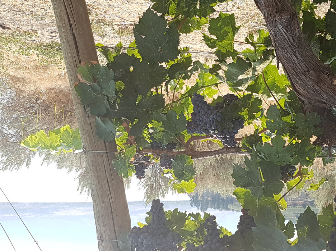 Lock & Worth Winery-彭蒂克顿必去景点