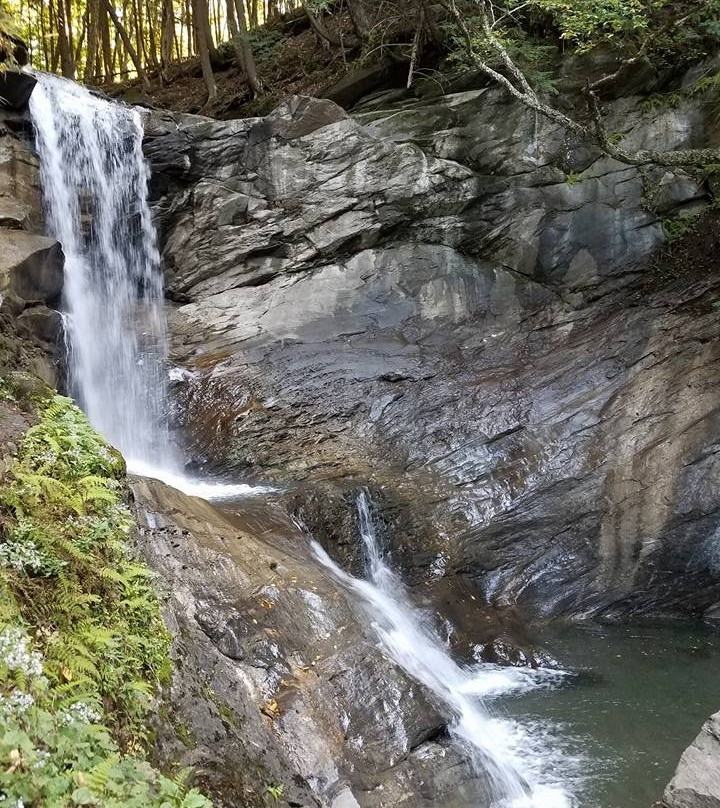 Old City Falls-Strafford必去景点