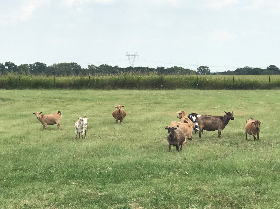 Caudalie Crest Winery-Celina必去景点