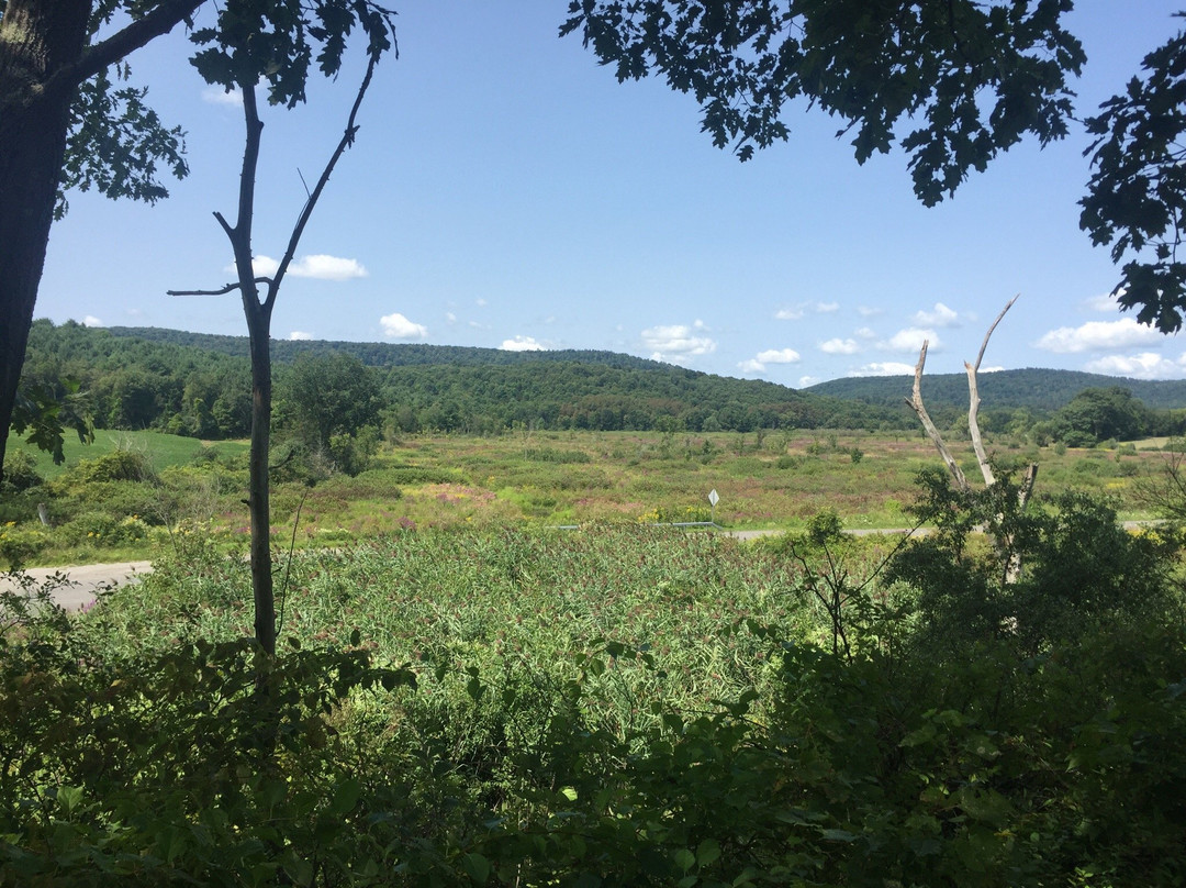Harlem Valley Rail Trail-Millerton必去景点