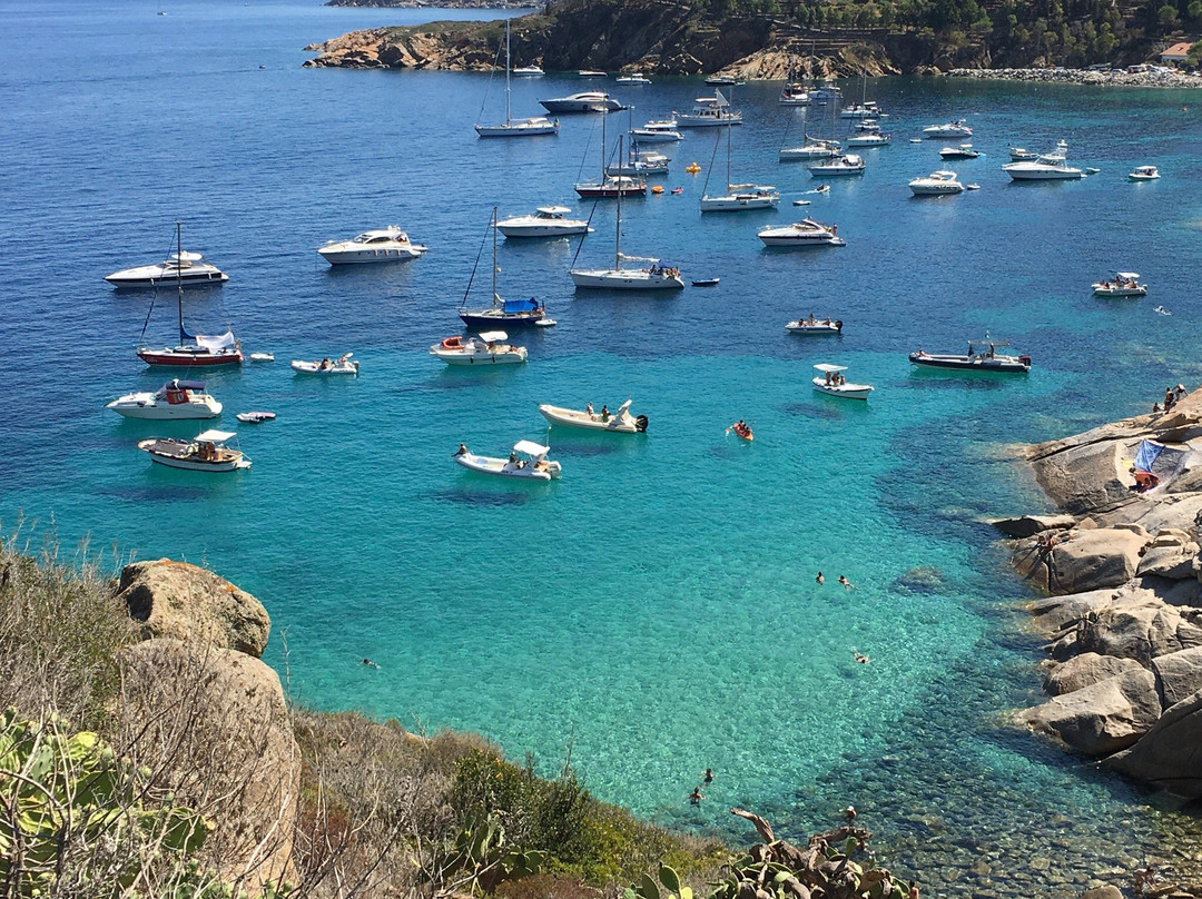 null-Isola del Giglio