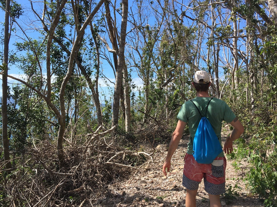 Molle Islands National Park-长岛必去景点