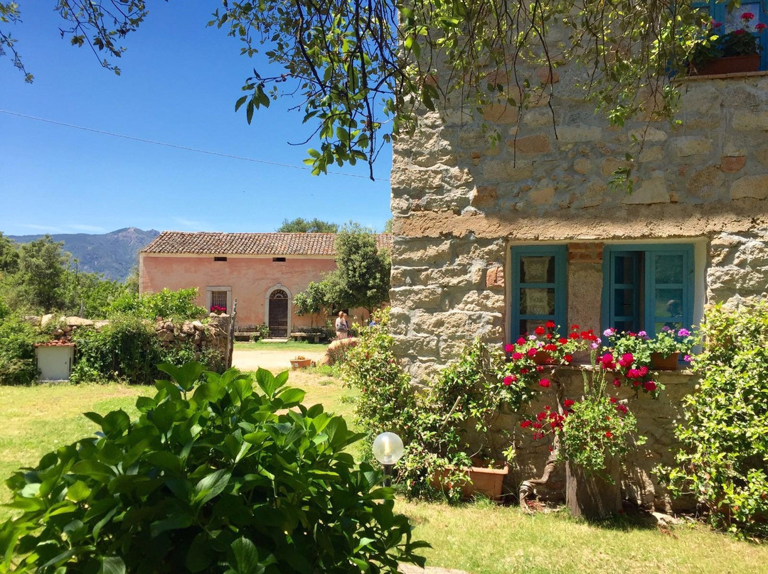 Agriturismo Casteddu