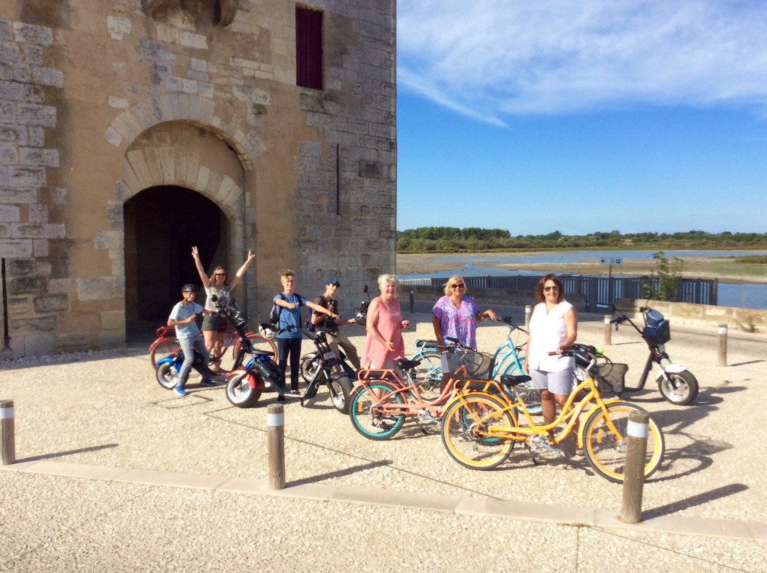 Happy Tour Camargue-艾格莫尔特必去景点