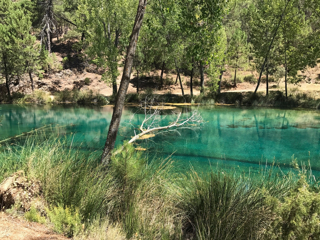 Nacimiento de Rio Frio景点图片