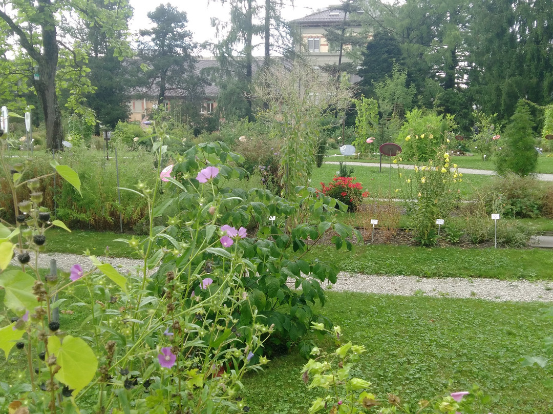 Jardin botanique de l'Université de Fribourg-弗里堡必去景点