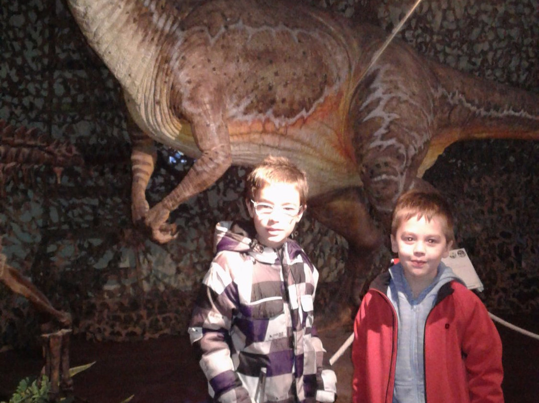 Museo de Ciencias-Bahia Blanca必去景点