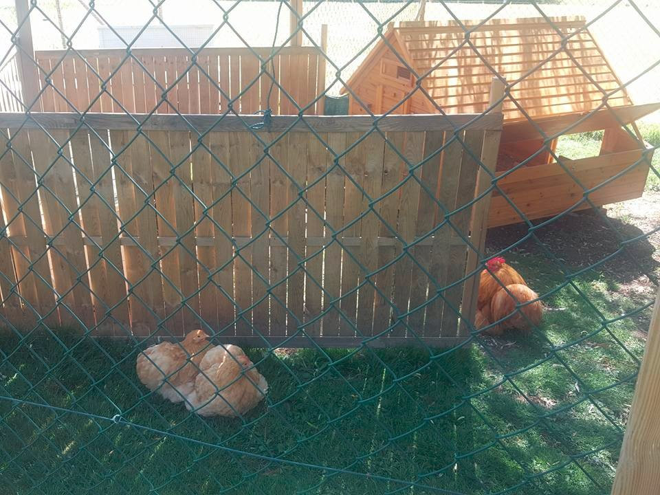 Domaine de Maumont主图