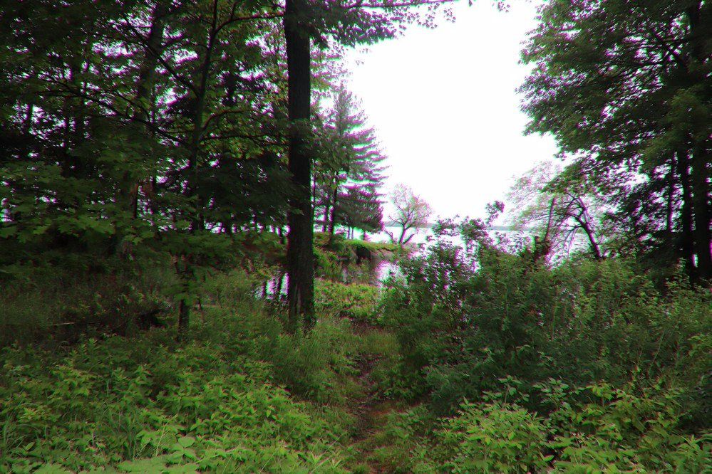 Kring Point State Park景点图片