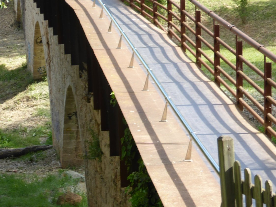 Pont de Can Vernet景点图片
