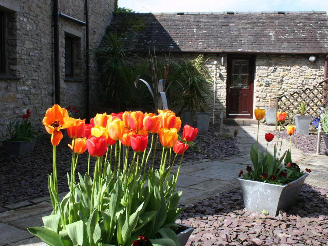 Birslack Grange主图