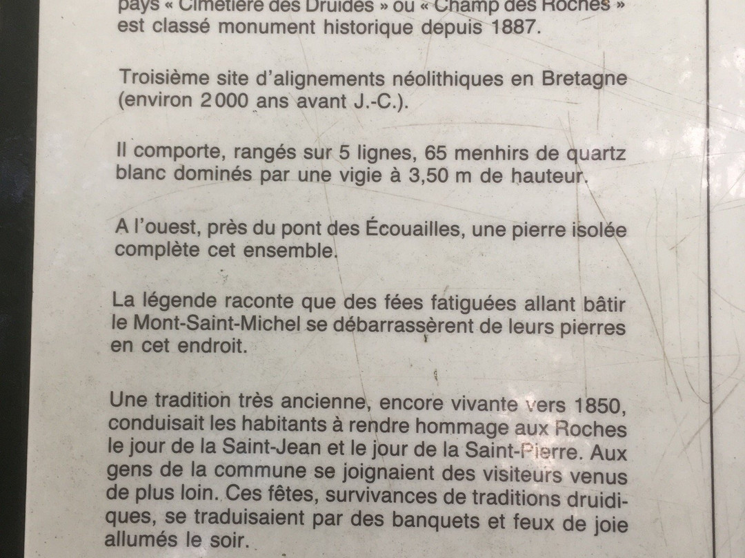 Mégalithiques du Champ des Roches景点图片