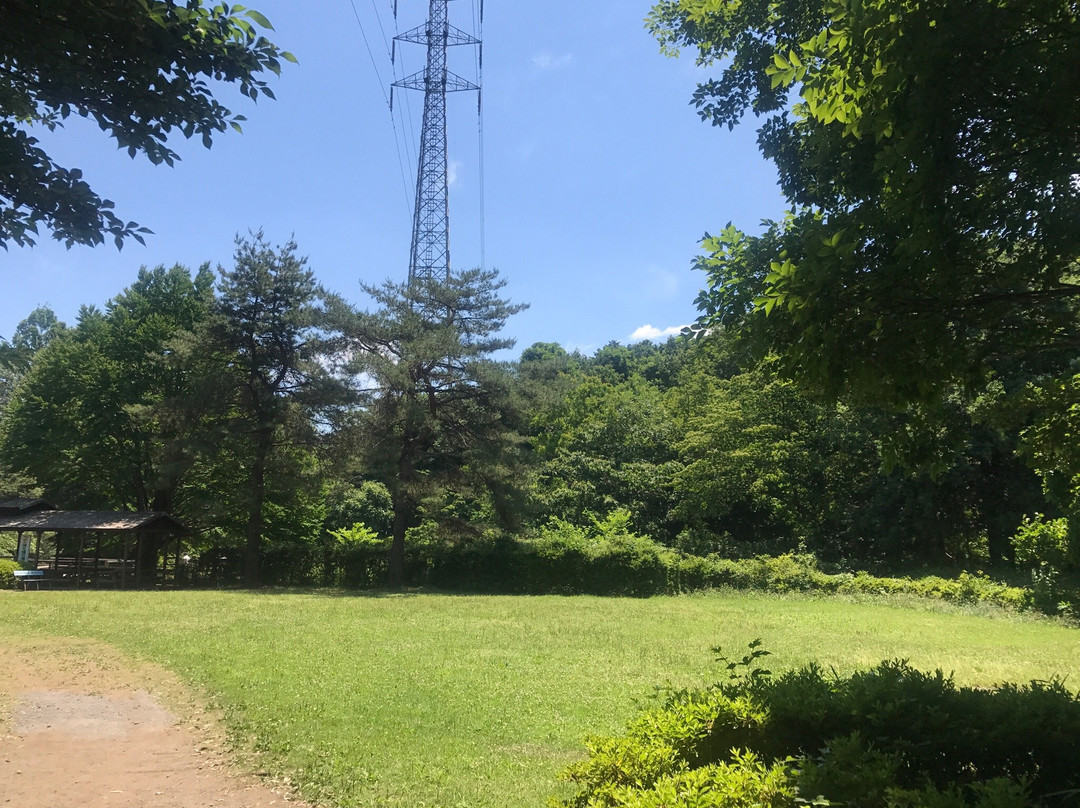 Chikozan Park-狭山市必去景点