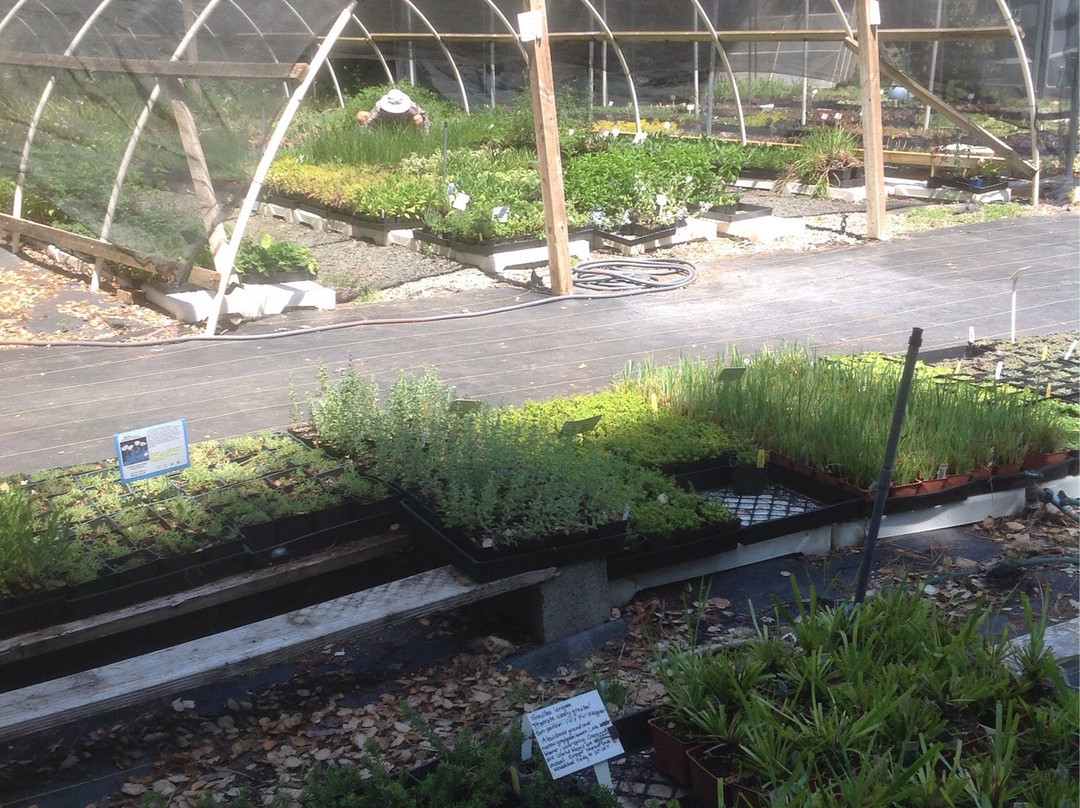 Morningsun Herb Farm-瓦卡维尔必去景点