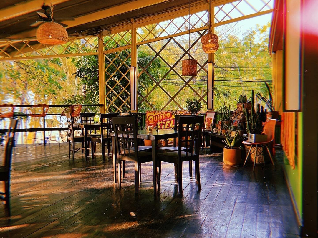 CATA  Agave Bar景点图片