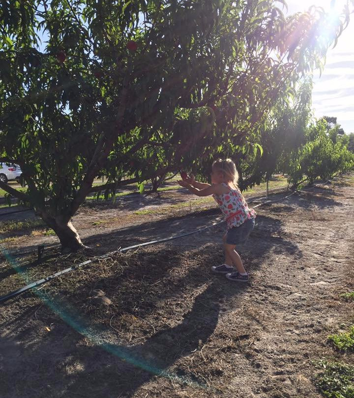 Premium Peach-圣克劳德必去景点