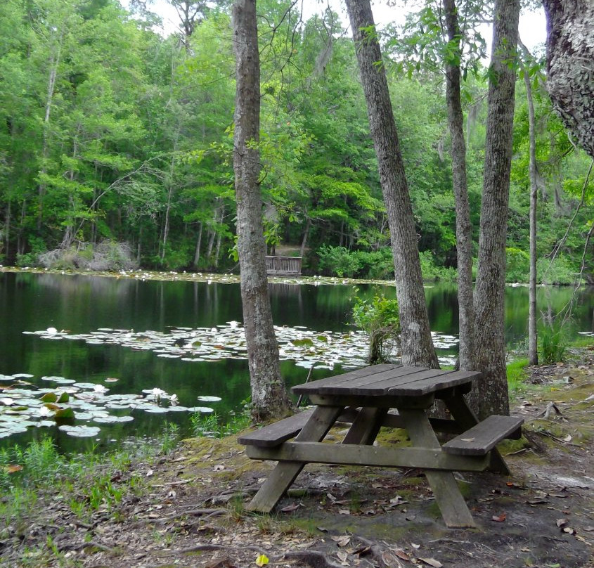 lake Warren State Park景点图片
