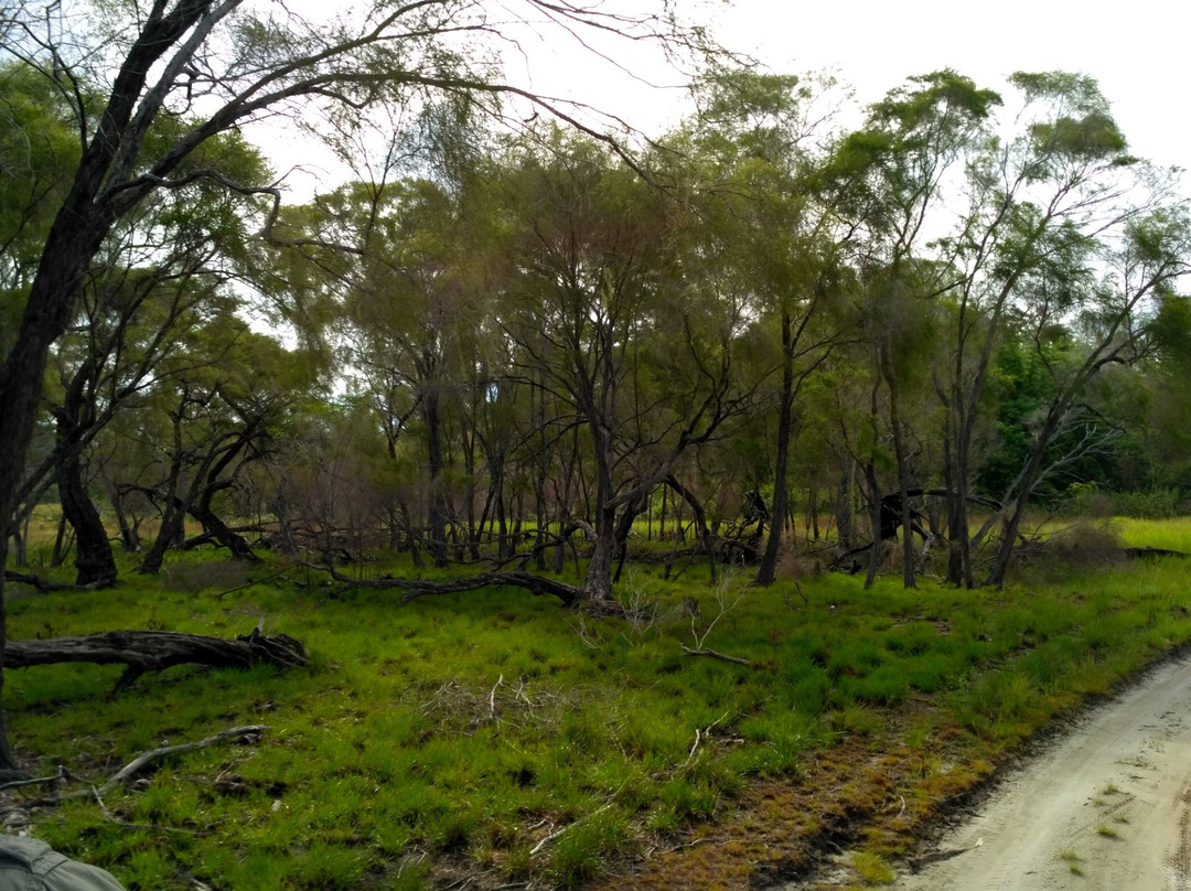 Taman Nasional Rawa Aopa Watumohai景点图片