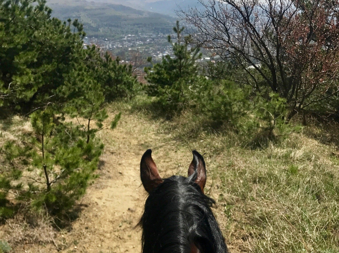 Canyon Equestrian Club景点图片